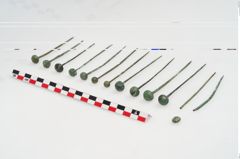 Foto von Kugelkopfnadel (NHMW-PRAE-035770)